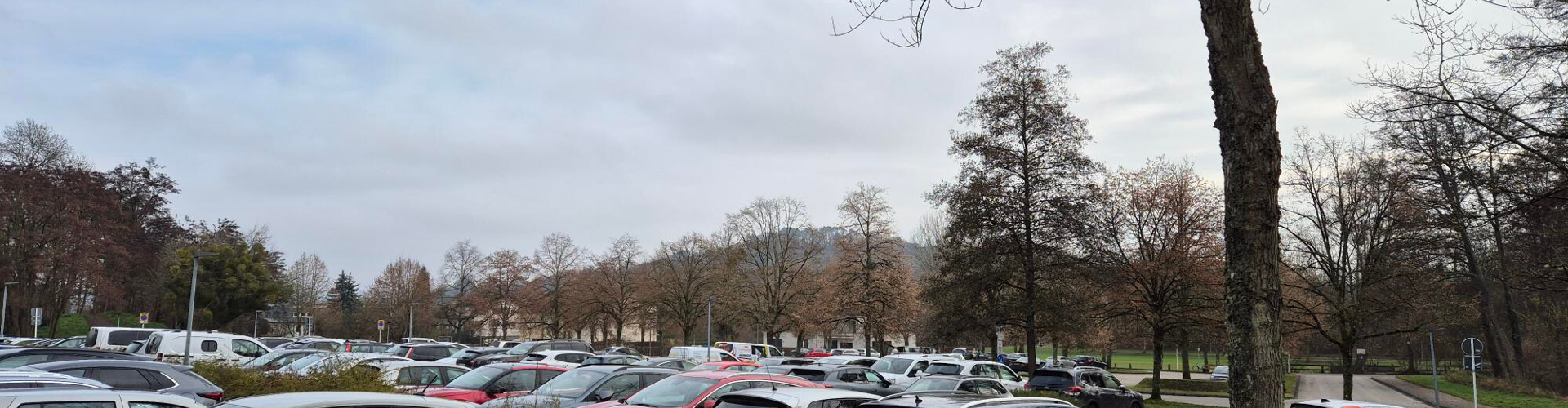 Design ohne Titel (18).png