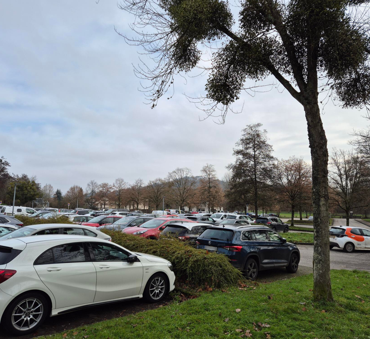 Design ohne Titel (18).png