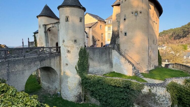 bourglinster-castle-michal-hustaty.webp