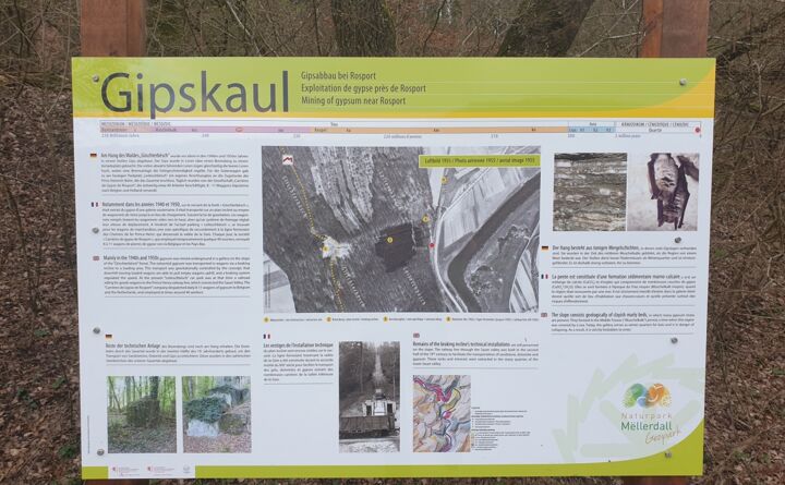 httpsappvisitluxembourgcomimages31512-resize-1680x1050x100.jpg