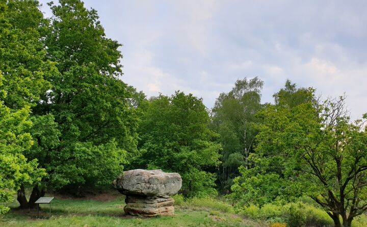 httpsappvisitluxembourgcomimages32070-resize-1680x1050x100.jpg