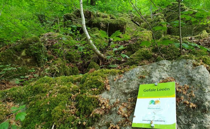 httpsappvisitluxembourgcomimages32425-resize-1680x1050x100.jpg