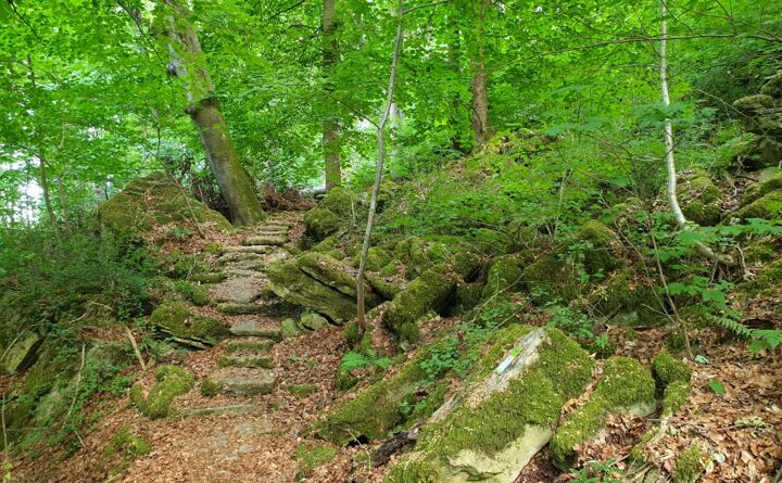 httpsappvisitluxembourgcomimages32427-resize-1680x1050x100.jpg