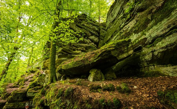 httpsappvisitluxembourgcomimages33901-resize-1680x1050x100.jpg