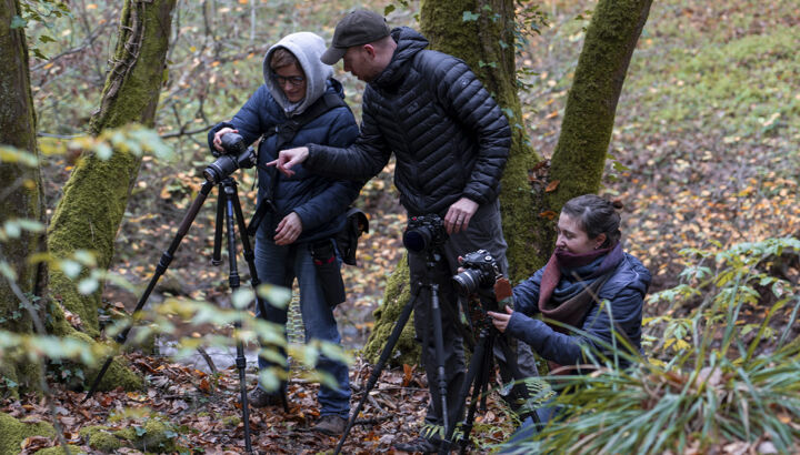 https://storage.googleapis.com/lu-echo-prod-experiences/1kSlkMY0ZycFqSTKclGu/atelier-photo-regards-d-automne-N3MD3D/Atelier-photo-Regards-d-automne-Manukultura-Octobre-2026-3-1-3-_main.jpg