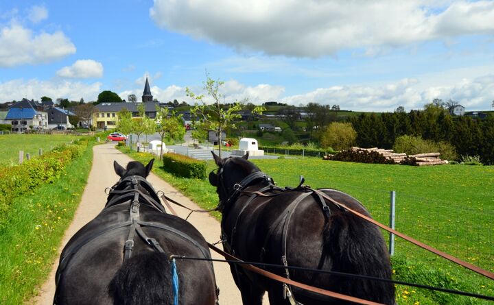 httpsappvisitluxembourgcomimages18836-resize-1680x1050x100.jpg