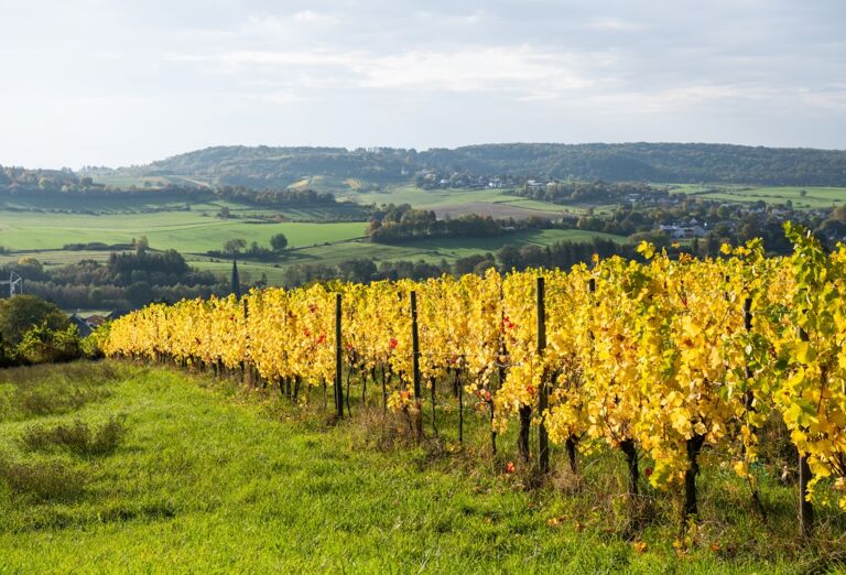 httpsappvisitluxembourgcomimages30299-resize-1680x1050x100.jpg
