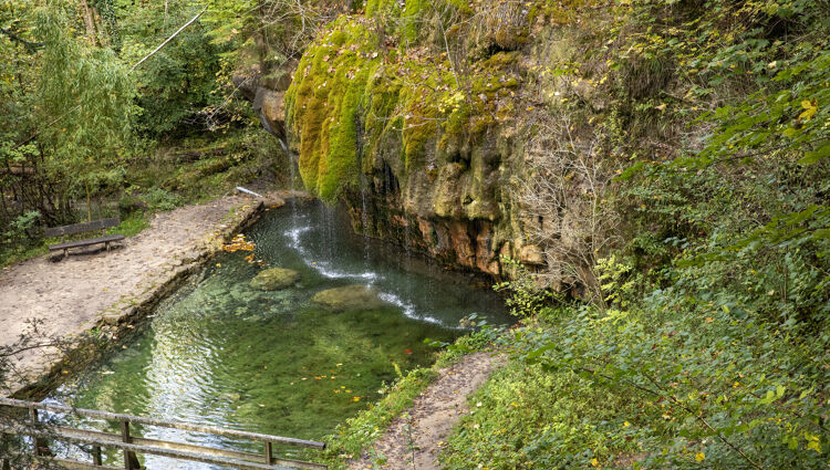 kalktuffquelle_cngpm_photostudiocbosselerjpg_compressed.jpeg