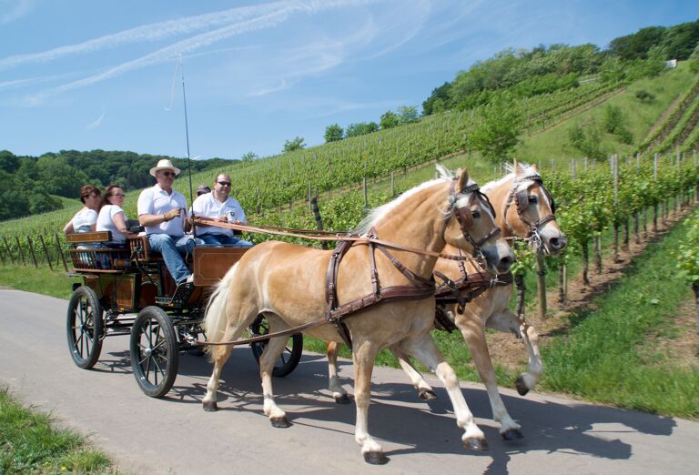 kutschenfahrt-im-weinberg-visit-moselle-luxembourg-1.jpg