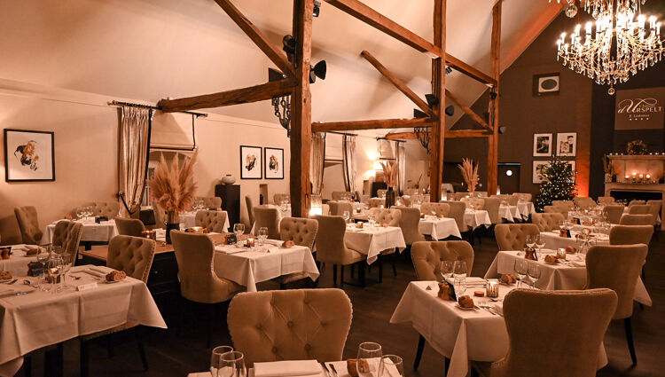 restaurant-2022-2023-2.jpeg