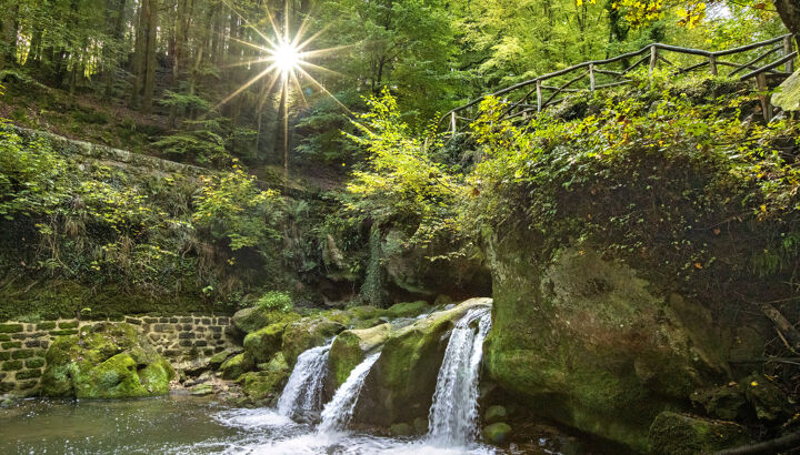 schiessentuempel-2cngpm_photostudiocbosselerjpg_compressed-1.jpeg