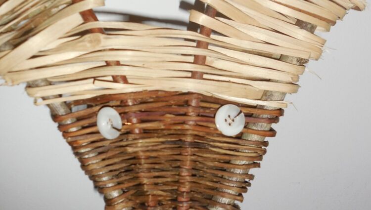 https://storage.googleapis.com/lu-echo-prod-experiences/6kHu-YALD2tJMVFxmX8D/discovering-wild-basketry-JOGkTE/renard_main.jpg