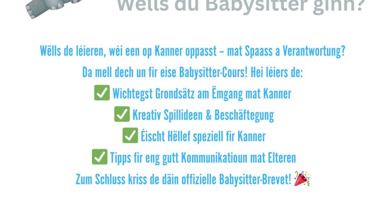 https://storage.googleapis.com/lu-echo-prod-experiences/Bao7ORtP4tK1D_d_IsUD/formation-babysitting-sOi2xk/babysitter_main.jpg