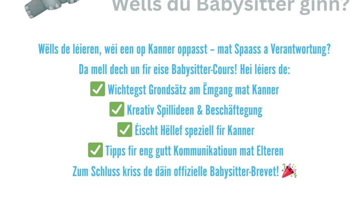 https://storage.googleapis.com/lu-echo-prod-experiences/Bao7ORtP4tK1D_d_IsUD/formation-babysitting-voPcjF/babysitter_main.jpg