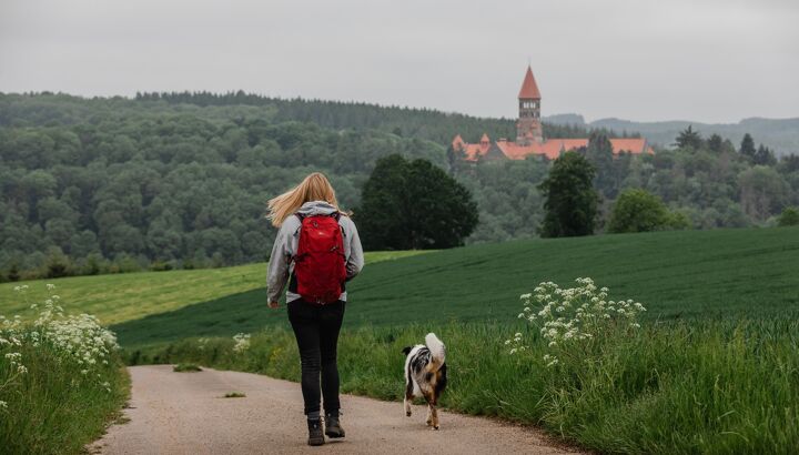 https://storage.googleapis.com/lu-echo-prod-experiences/QPNb1EHdZ9m7MLvctSv-/hiking-meets-local-food-Na2G2W/Autopedestreclervaux_juin2021_-TheRoadAbroad-125-.jpg