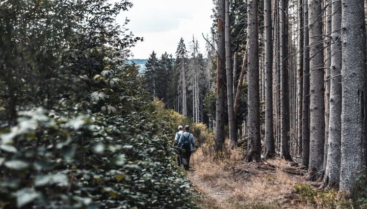 https://storage.googleapis.com/lu-echo-prod-experiences/QPNb1EHdZ9m7MLvctSv-/hiking-meets-local-food-TAm9_4/DL_20220901_2091.jpg