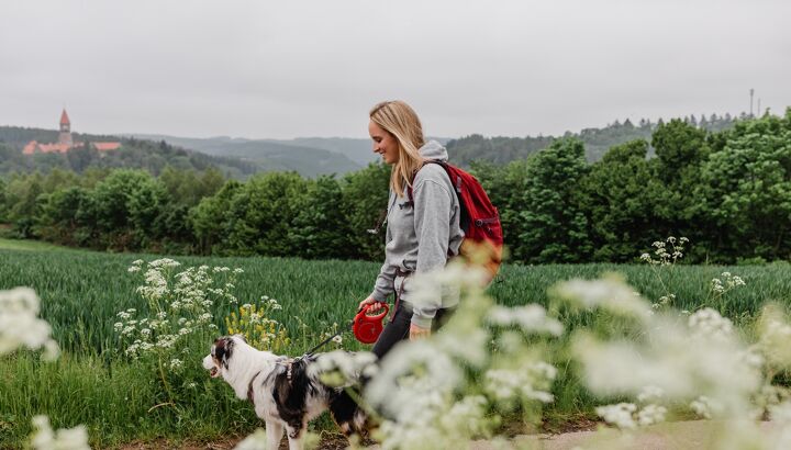 https://storage.googleapis.com/lu-echo-prod-experiences/QPNb1EHdZ9m7MLvctSv-/hiking-meets-local-food-uby7M9/Autopedestreclervaux_juin2021_-TheRoadAbroad-107-.jpg