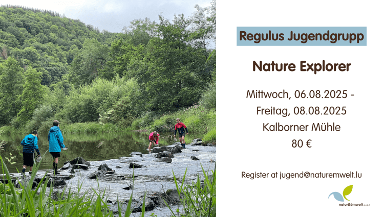 https://storage.googleapis.com/lu-echo-prod-experiences/X-cHLjcpeU2uAMc2Jot9/nature-explorer-66q17n/Dimanche-le-4-mai-2025-6-min_main.png