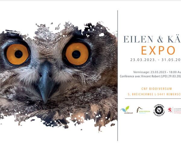https://storage.googleapis.com/lu-echo-prod-experiences/caXxk3BqpHNsxou0mCrp/chouettes-et-hiboux-crGnzX/snip-Eilenexpo_main.JPG