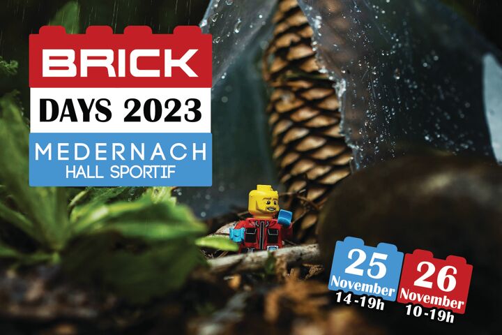 https://storage.googleapis.com/lu-echo-prod-experiences/fcLtBCeR6LfFMkbYegDn/brick-days-2023-cnI6qo/medernach_main.jpg