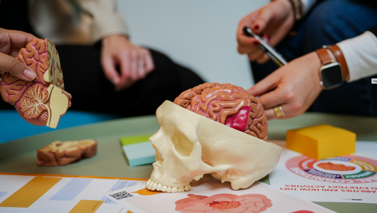 https://storage.googleapis.com/lu-echo-prod-experiences/hQV6wMXLyhA7Q4yWyoO6/getbrainhealthy-workshop-esch-port-TVVs4T/Screenshot-2026-04-07-at-17-02-41_main.png