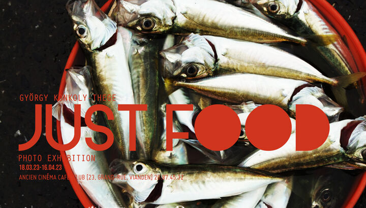 https://storage.googleapis.com/lu-echo-prod-experiences/jp97VtzCTWnAYtUjPDjTLr/ust-food-gyorgy-konkoly-thege-dVv7Fk/Food-2023-small_main.jpg