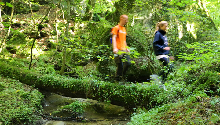 https://storage.googleapis.com/lu-echo-prod-experiences/oRjg7oXRTnffx5bs7M74JT/hiking-weekend-around-luxembourg-s-oldest-town-in-the-footsteps-of-carlo-hemmer-VAorOj/Hiking-in-Mullerthal-9-_main.jpg