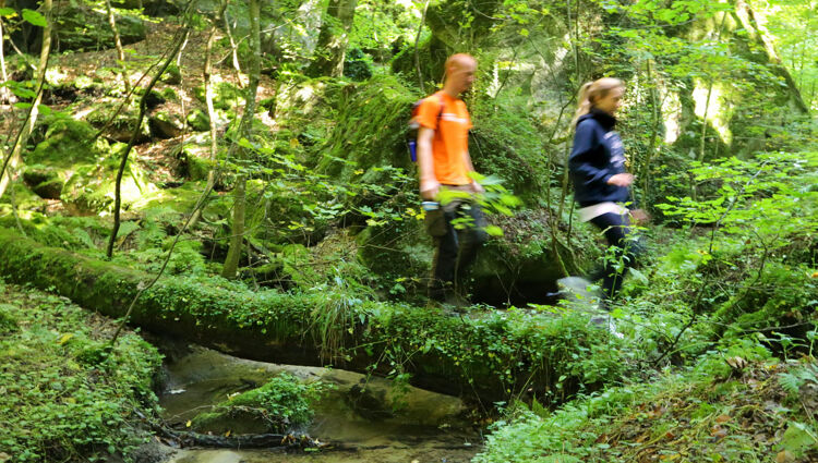 https://storage.googleapis.com/lu-echo-prod-experiences/oRjg7oXRTnffx5bs7M74JT/hiking-weekend-around-luxembourg-s-oldest-town-in-the-footsteps-of-carlo-hemmer-VAorOj/Hiking-in-Mullerthal-9-_main.jpg
