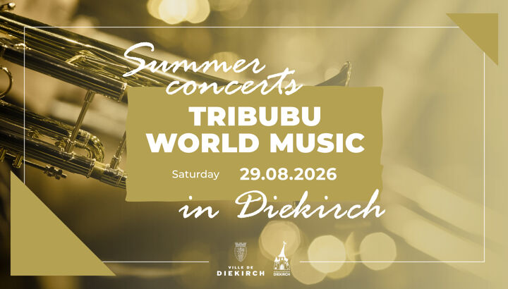 https://storage.googleapis.com/lu-echo-prod-experiences/uKYGdm5nS5XY1aijn6D6Fd/concert-tribubu-world-music-MabAAq/12-Tribubu-World-Music-Summerconcert-02-_main.jpg