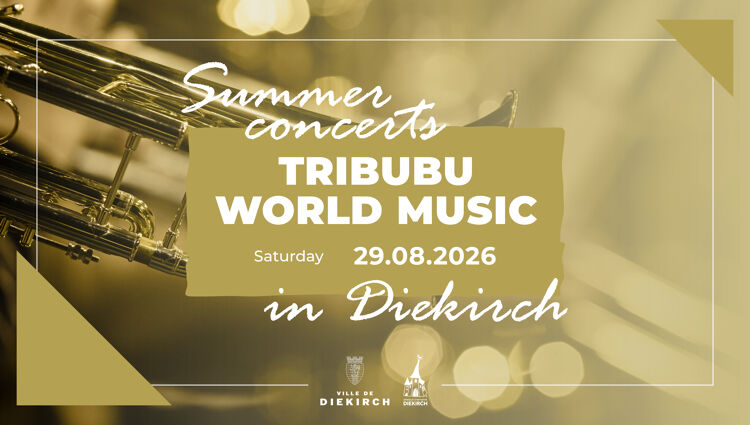 https://storage.googleapis.com/lu-echo-prod-experiences/uKYGdm5nS5XY1aijn6D6Fd/concert-tribubu-world-music-MabAAq/12-Tribubu-World-Music-Summerconcert-02-_main.jpg